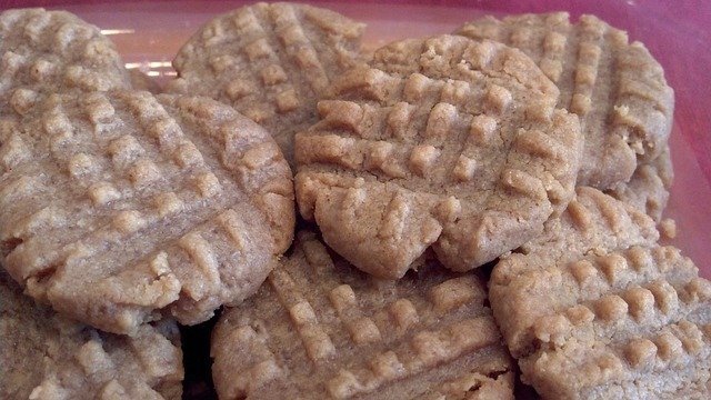 Can Dogs Eat Peanut Butter Cookies?