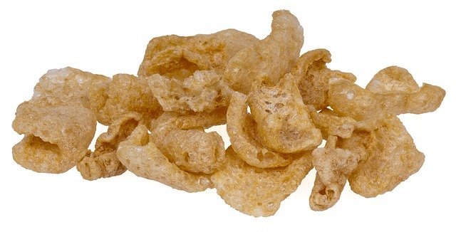 can dogs eat pork rinds