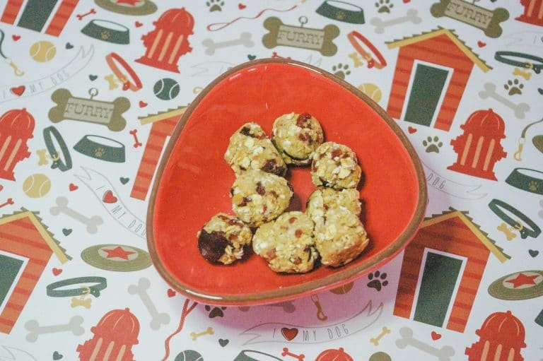 Easy Soft & Fruity Dog Treat Recipe