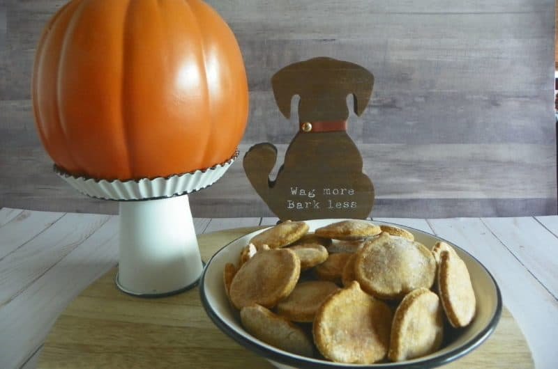 Perfectly Pumpkin Fall Dog Treats