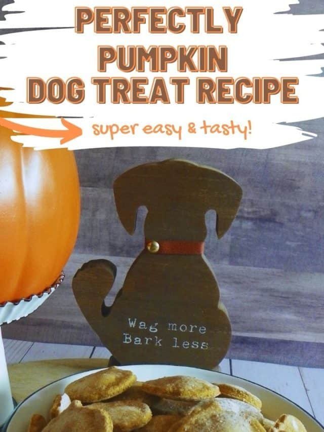 Perfectly Pumpkin Dog Treat Recipe