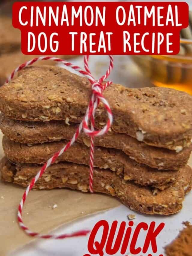 Quick u0026#038; Easy Cinnamon Oatmeal Dog Treat Recipe