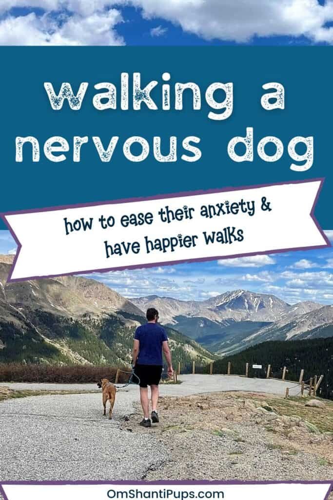 Walking a nervous dog pin